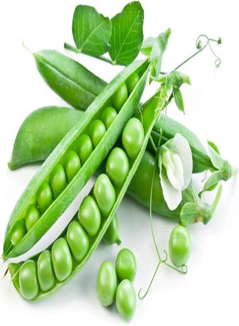 جي جوت بذور خضراوات متنوعة - 300 قطعة من بذور البازلاء السكرية، خضراوات لذيذة للحديقة المنزلية والفناء الخلفي وسقف المنزل، هدية للأطفال والبستانيين المبتدئين - 1# - Image 1