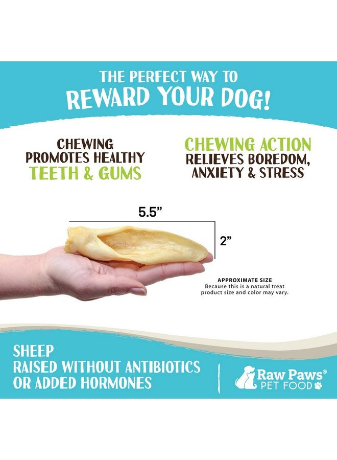 Raw Paws Large Lamb Ears for Dogs, 15 Pack - Packed in USA - All Natural Lamb Rawhide Alternative - Real, Grain Free, Single Ingredient Lambs Ear Chews for Dogs - Crunchy Sheep Lamb Ears Dog Treats - Image 3