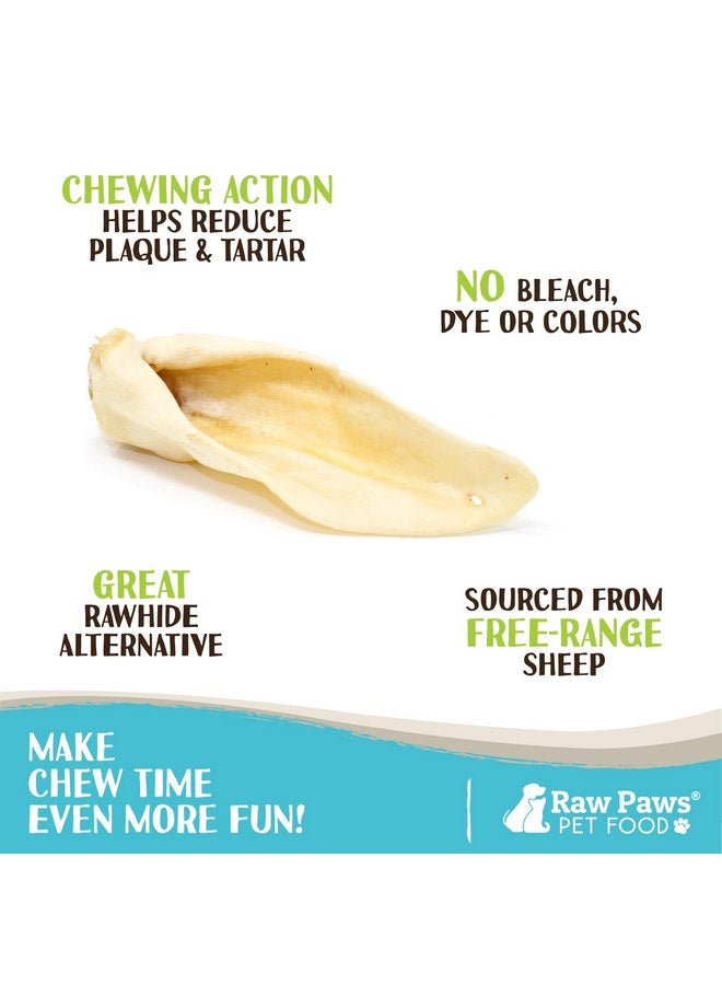 Raw Paws Large Lamb Ears for Dogs, 15 Pack - Packed in USA - All Natural Lamb Rawhide Alternative - Real, Grain Free, Single Ingredient Lambs Ear Chews for Dogs - Crunchy Sheep Lamb Ears Dog Treats - Image 2