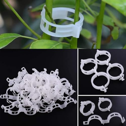 GYOU Plant Support Garden Clips, Garden Trellis Clips, Tomato Trellis Clips for Vine, Vegetables, Beans, Fruits, Flower to Grow Upright and Healthier (200 PCS) - Image 1