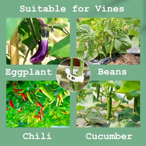 GYOU Plant Support Garden Clips, Garden Trellis Clips, Tomato Trellis Clips for Vine, Vegetables, Beans, Fruits, Flower to Grow Upright and Healthier (200 PCS) - Image 2