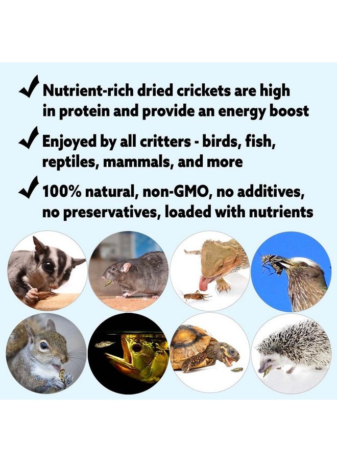 EXOTIC NUTRITION Dried Crickets (2.2 lb.) - High Protein Insect Treat - Chickens, Wild Birds, Hedgehogs, Bluebirds, Reptiles, Sugar Gliders, Opossums, Skunks, Lizards, Bearded Dragons, Fish, Amphibians, Turtles  - Image 4