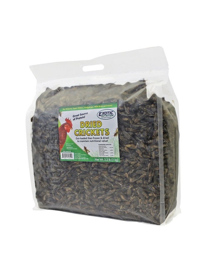 EXOTIC NUTRITION Dried Crickets (2.2 lb.) - High Protein Insect Treat - Chickens, Wild Birds, Hedgehogs, Bluebirds, Reptiles, Sugar Gliders, Opossums, Skunks, Lizards, Bearded Dragons, Fish, Amphibians, Turtles  - Image 1