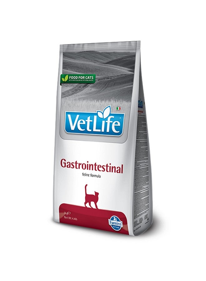 FARMINA PET FOODS Vet Life Cat Gastrointestinal 2 Kg - Adult, Granule - Image 1