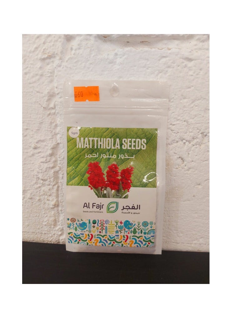 GROW Red matthiola flowr seeds al-fajr 