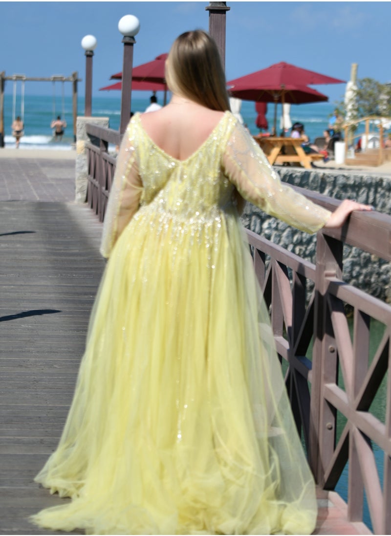 Golden Glow Embellished Gown A Fairytale in Motion - pzsku/Z9415DABFE74A19BC61B9Z/45/_/1739876592/0a799d7c-06c8-4221-b1fd-c1923ae13af9