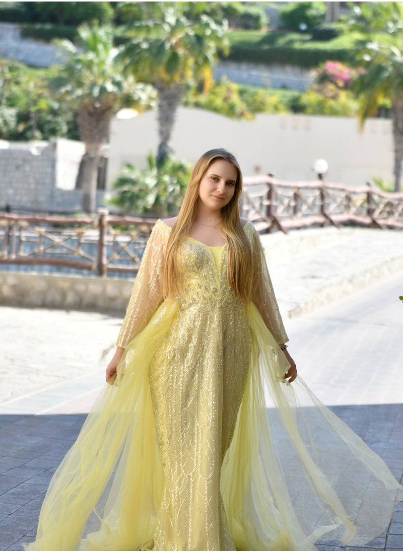 Golden Glow Embellished Gown A Fairytale in Motion - pzsku/Z9415DABFE74A19BC61B9Z/45/_/1739876605/617ac0f6-7d11-472e-9e86-13755fef3701