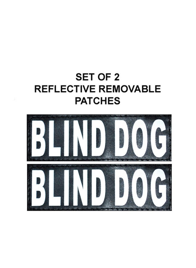 Doggie Stylz Set of 2 Reflective Blind Dog Removable Patches with Hook Backing for Working Dog Harnesses & Vests. Durable and Interchangeable - Comes in 3 Sizes Small, Medium and Large