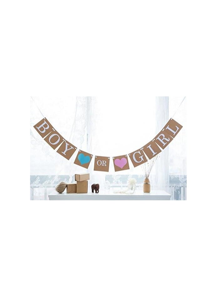 Boxwoods - Mommy To Be Sash And Boy Or Girl Paper Banner For Gender Reveal Baby Shower - Image 1