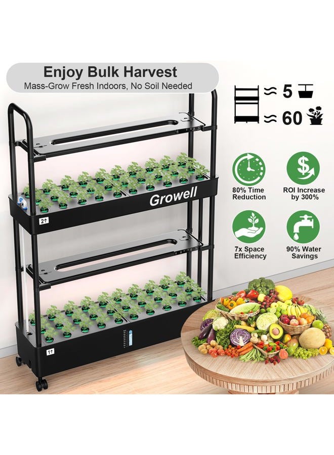 growell Large Hydroponics Growing System Kit, 60 Pods Vertical Hydroponic Garden with 2 Light Modes Grow Light, Auto Circulating Water System, 32L Indoor Gardening System for Herb Vegetable Fruit - Image 2