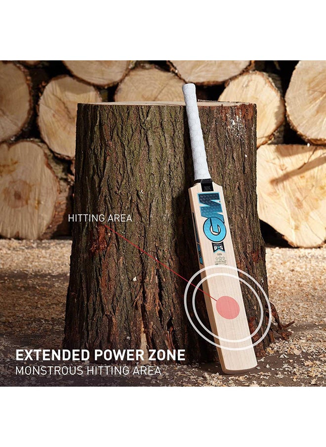 GM - English Willow Professional Cricket Bat - Image 1