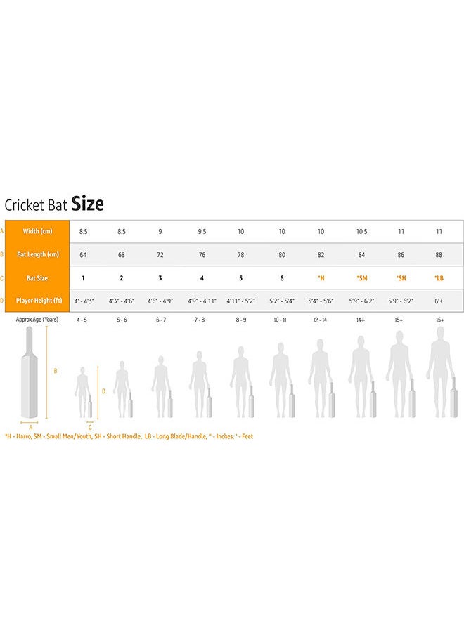 GM - English Willow Professional Cricket Bat - Image 1