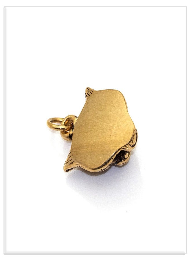 Xusamss Punk Rock Stainless Steel Animal Tiger Head Tag Pendant Charm Necklace(Gold) - Image 4