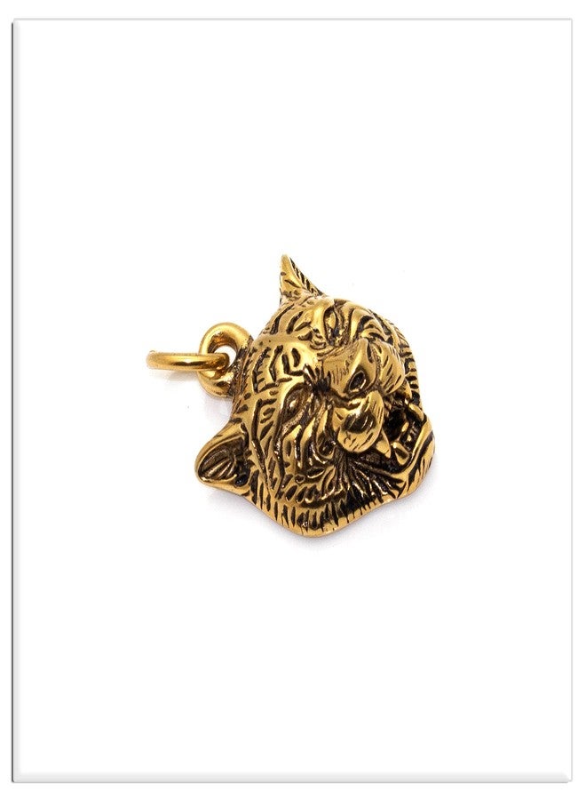 Xusamss Punk Rock Stainless Steel Animal Tiger Head Tag Pendant Charm Necklace(Gold) - Image 3
