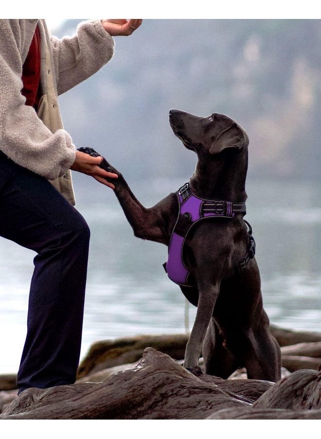 Joytale - Joytale No Pull Dog Harness Medium Sized Dog, Reflective Pet Vest with Front Clip, Adjustable Soft Padded Harnesses with Easy Control Handle for Training and Walking, Purple, M - Image 1