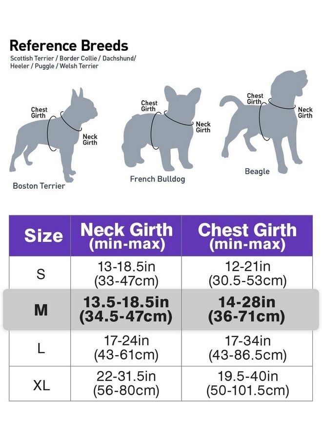 Joytale No Pull Dog Harness Medium Sized Dog, Reflective Pet Vest with Front Clip, Adjustable Soft Padded Harnesses with Easy Control Handle for Training and Walking, Purple, M - pzsku/Z941C2794867A2097ABD5Z/45/_/1737031671/df83aff3-dd54-4bb8-8a8a-55bc94241f30