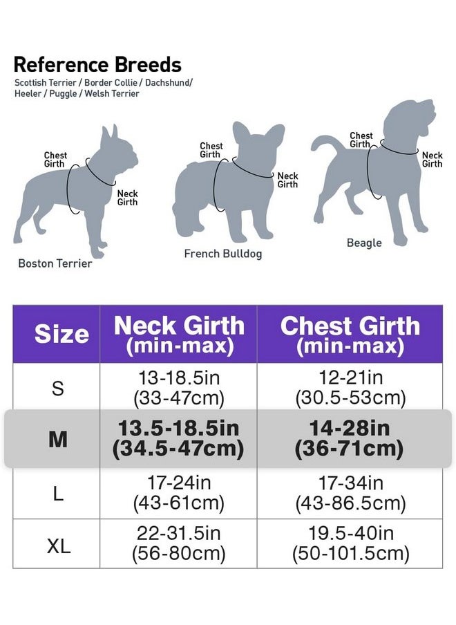 Joytale - Joytale No Pull Dog Harness Medium Sized Dog, Reflective Pet Vest with Front Clip, Adjustable Soft Padded Harnesses with Easy Control Handle for Training and Walking, Purple, M - Image 1