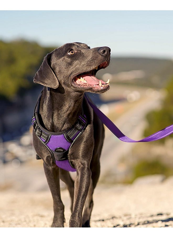 Joytale - Joytale No Pull Dog Harness Medium Sized Dog, Reflective Pet Vest with Front Clip, Adjustable Soft Padded Harnesses with Easy Control Handle for Training and Walking, Purple, M - Image 1