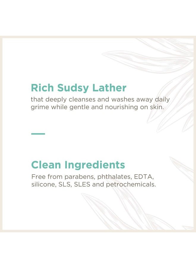 Soapbox صابون يد رغوي - ماء الألوة والمريمية - زجاجات مضخة سعة 8.4 أونصة - 3 قطع - معطر بلطف، غسول يد مرطب للرعاية في المطبخ والحمام، نباتي، خالي من القسوة والبارابين - Image 4