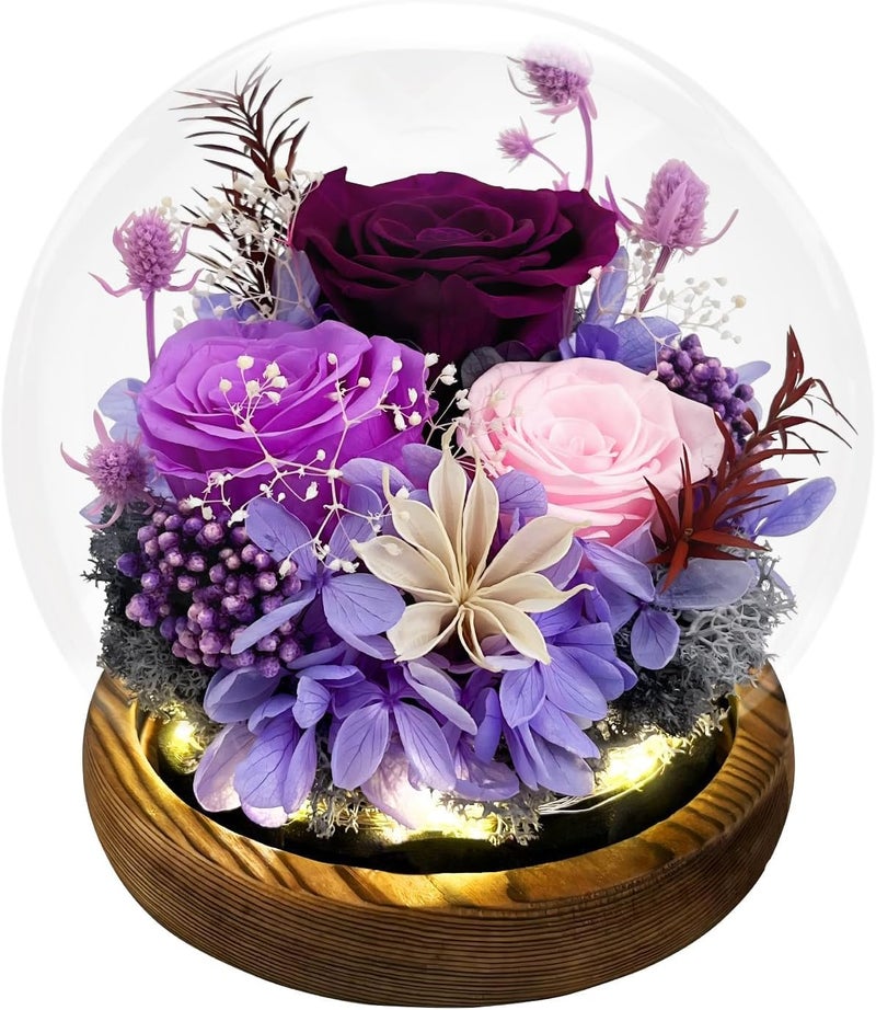 FIACO Gifts for Women Preserved Rose in Glass Dome Eternal Roses with LED Light Forever Flowers for Indoor Decor Birthday for Her Mom Wife Girlfriend Grandma Purple - Image 1