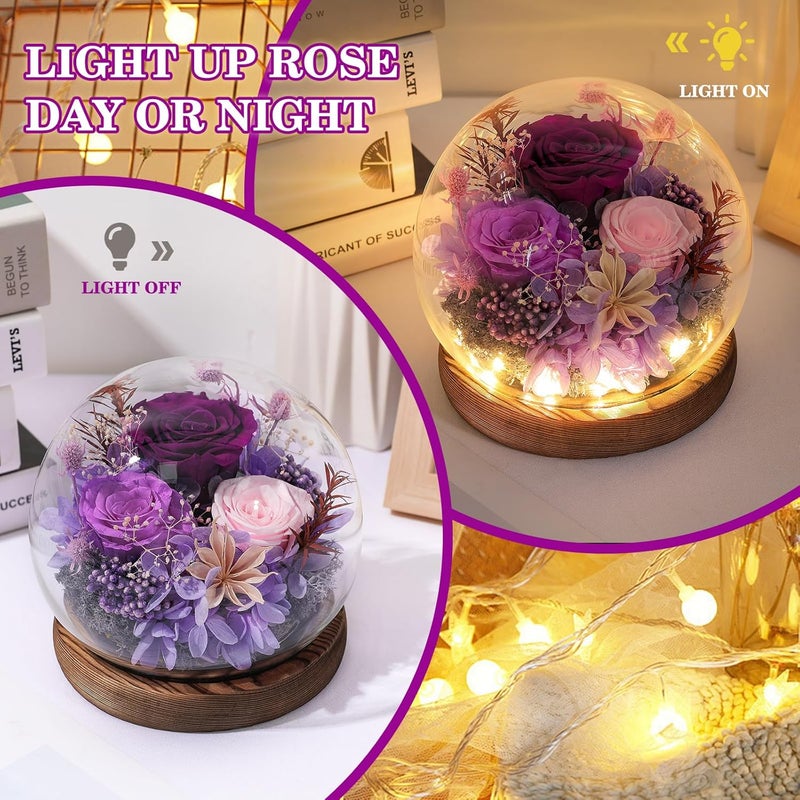 FIACO Gifts for Women Preserved Rose in Glass Dome Eternal Roses with LED Light Forever Flowers for Indoor Decor Birthday for Her Mom Wife Girlfriend Grandma Purple - Image 4