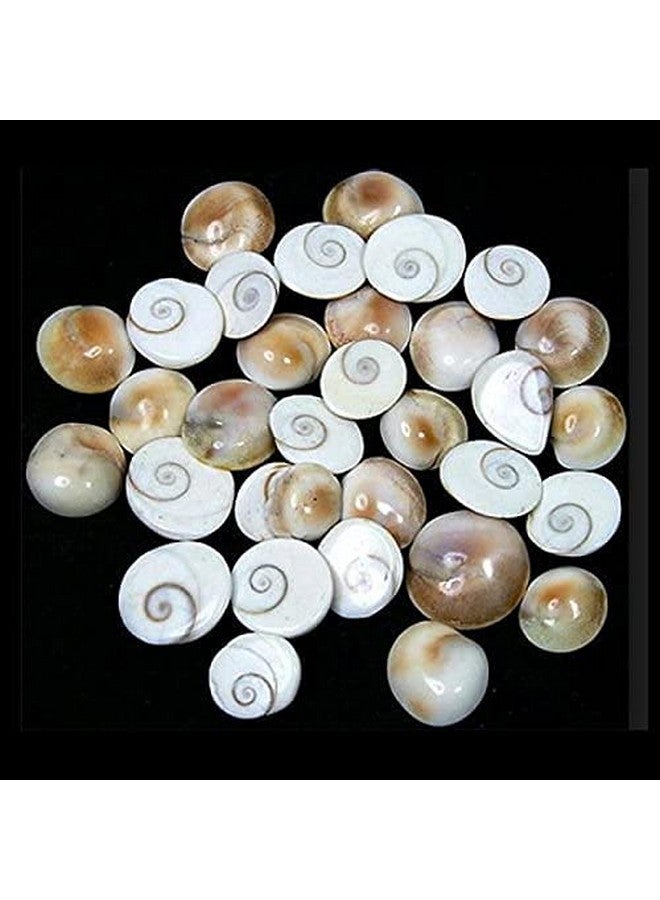 Gomti Chakra 25 Pcs