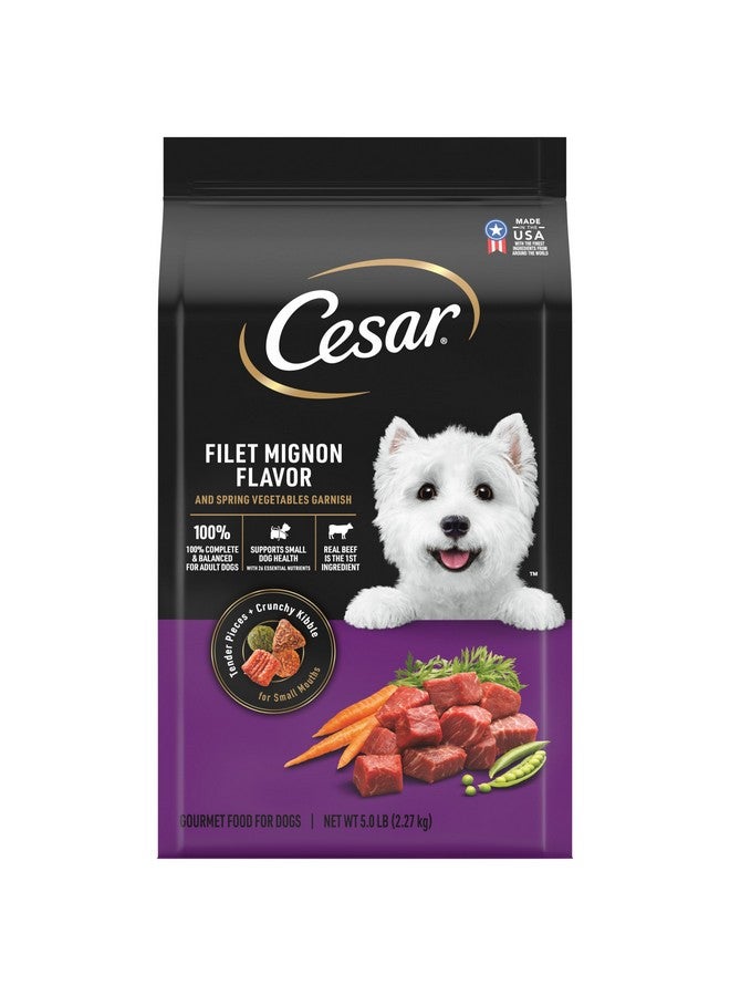 CESAR Adult Small Breed Dry Dog Food, Filet Mignon Flavor with Spring Vegetables Garnish, 5 lb. Bag - Image 1