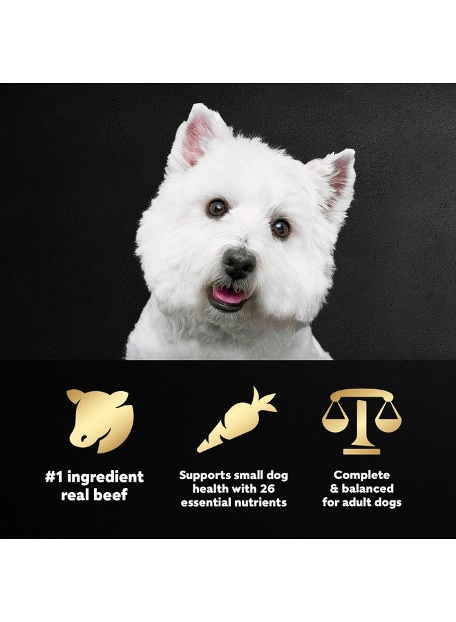 CESAR Adult Small Breed Dry Dog Food, Filet Mignon Flavor with Spring Vegetables Garnish, 5 lb. Bag - Image 5