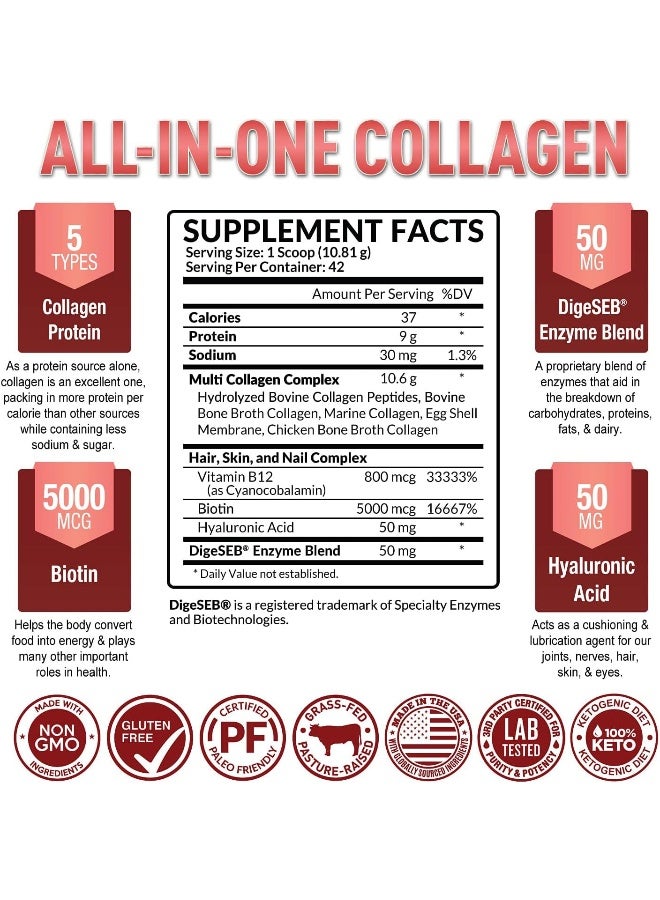 Purely Optimal Premium Multi Collagen Powder - 5 Types Of Hydrolyzed Collagen Peptides W/Biotin, Hair Skin And Nails Vitamins, Max Absorption, Bone & Joint Support - Types I,Ii,Iii,V,X - Easy Mix Unflavored (470Ml) - Image 2