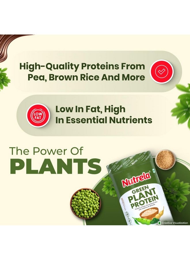 Nutrela Green Plant protein Powder - 500g (Chocolate) | Brown Rice & Pea with Multivitamins & Minerals (pack of 3) - Image 4