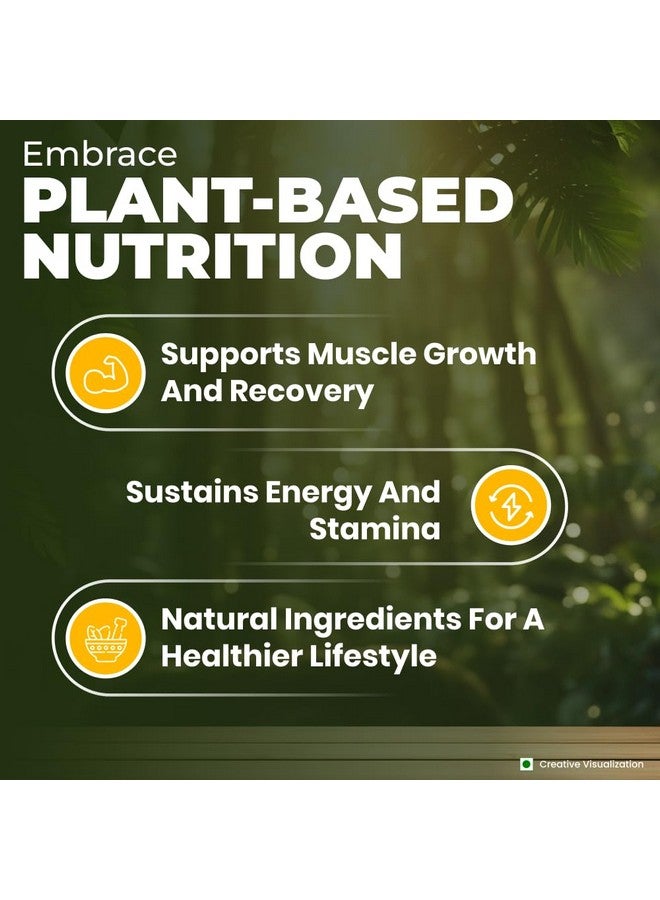 Nutrela Green Plant protein Powder - 500g (Chocolate) | Brown Rice & Pea with Multivitamins & Minerals (pack of 3) - Image 3
