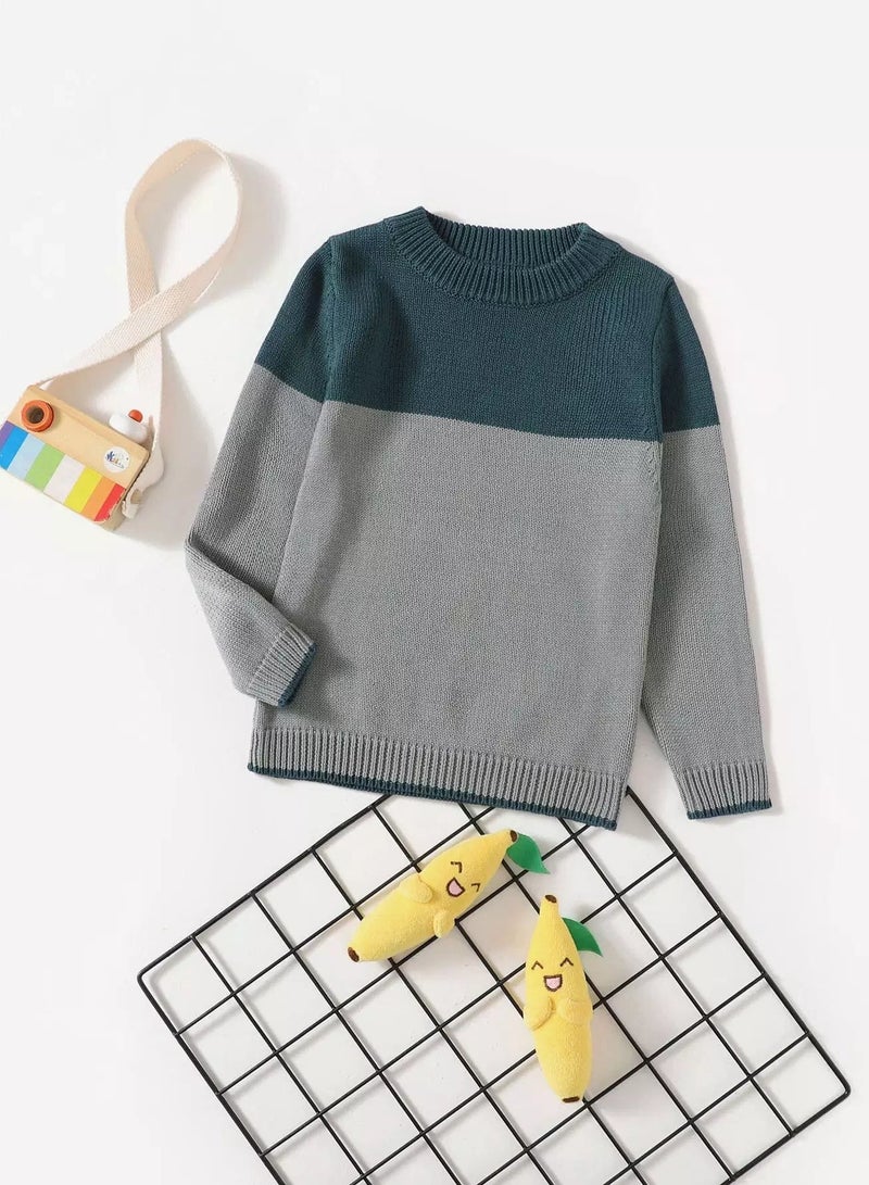 Toddler Boys Two Tone Round Neck Sweater - Image 1