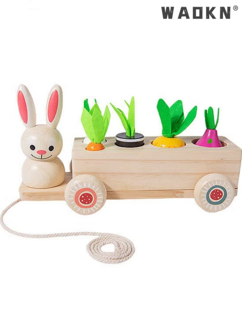 WAOKN Toddlers Montessori Wooden Educational Toys for Baby Boys Girls,Wooden Rabbit Pull Cart Farm Toy with Removeable Vegetables for Toddlers,Kids Montessori Easter Bunny Shape Sorting Car(Vegetable)  - Image 1