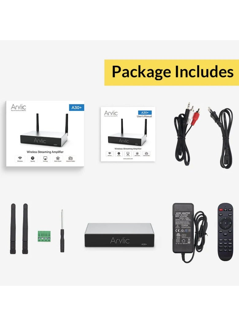 أريليك A30+ 30 واط × 2 مضخم صوت ستيريو صغير يعمل بتقنية WiFi - Image 2