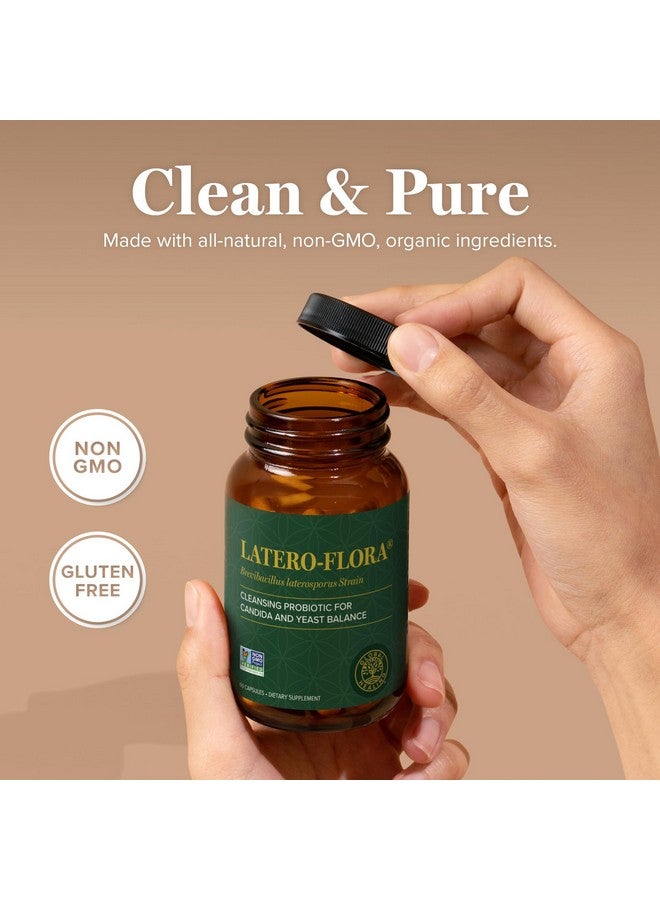 global healing center Latero-Flora Probiotic 60 count by Global Healing Center - Image 4