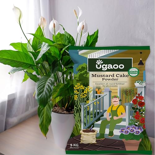 UGAOO Mustard Oil Cake Powder for Healthy Plants And Soil - 5 Kg - Image 5