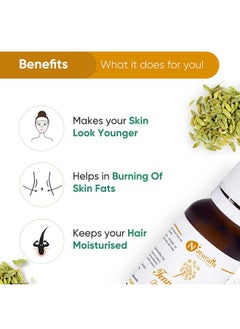 Naturalis Essence Of Nature Fennel Seed Essential Oil Natural & Therapeutic Grade For Skin Care Anti Aging Hair Growth 15Ml  - Image 3