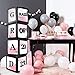 LINGTEER Class of 2023 Black Balloons Box Graduation Party Decorations  4Pcs Balloon Boxes Cheers to School Grad Party Decorations Supplies - Image 4