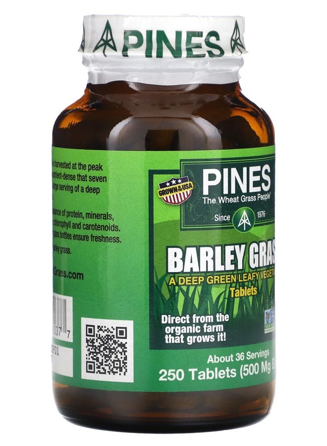 Pines International عشب الشعير 250 قرص - Image 2