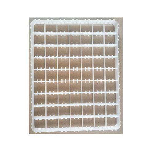TMW TMW Factory Hatchery Quail Egg Incubator Tray Multicolour 221 Capacity 221 x 102210 for Smaller Eggs - Image 4