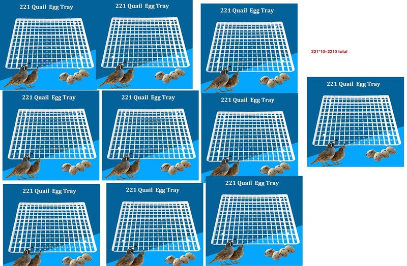 TMW TMW Factory Hatchery Quail Egg Incubator Tray Multicolour 221 Capacity 221 x 102210 for Smaller Eggs - Image 1