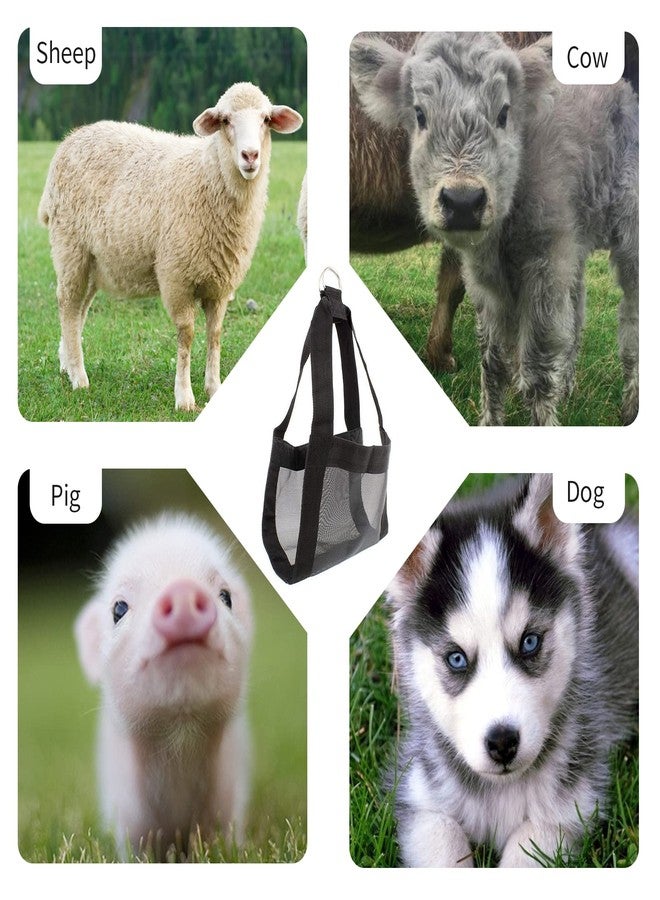 Zasukol Lamb Sling for Weighing Animals, Calf Scale Hanging Weight Scale Sling, Assist Sling Hang Scale for Weighing Lamb Baby Alpaca Newborn Livestock - Image 5