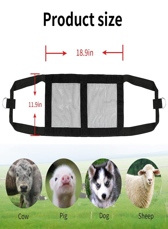 Zasukol Lamb Sling for Weighing Animals, Calf Scale Hanging Weight Scale Sling, Assist Sling Hang Scale for Weighing Lamb Baby Alpaca Newborn Livestock - Image 2