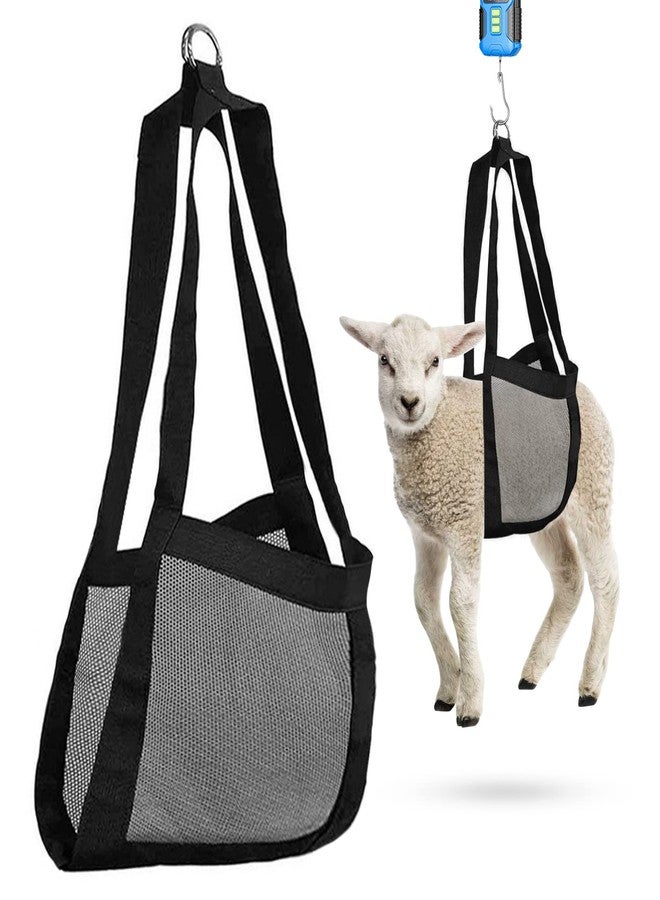 Zasukol Lamb Sling for Weighing Animals, Calf Scale Hanging Weight Scale Sling, Assist Sling Hang Scale for Weighing Lamb Baby Alpaca Newborn Livestock - Image 1