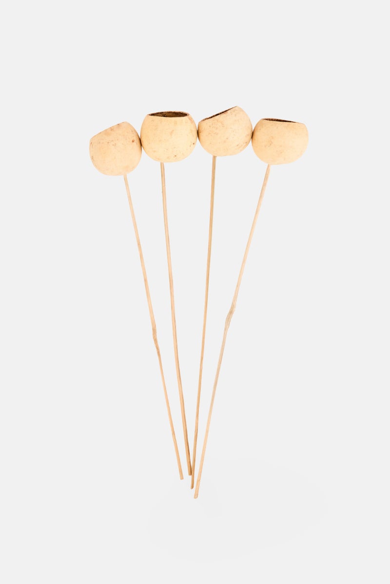 Muy Mucho 4 Pieces Natural Dried Bell Cup On Stem, Beige  - Image 1