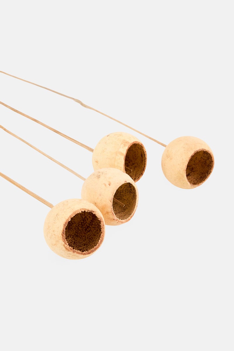 Muy Mucho 4 Pieces Natural Dried Bell Cup On Stem, Beige  - Image 3