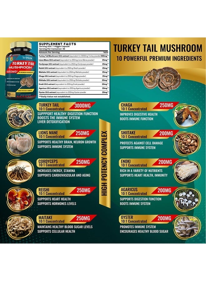 Tenmido Turkey Tail Mushroom Extract 5050mg with Lions Mane, Cordyceps, Reishi and More, 10 Herbs in 1 | Digestive Function, Supports Immune System, 3 Months Supply - Image 3