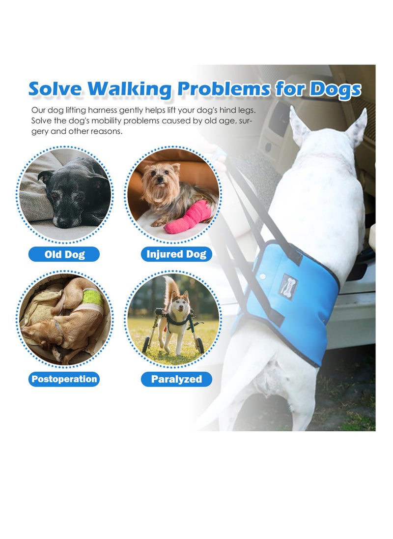 Excefore - Dog Sling for Large Dogs, Hind Leg Support, Dog Lift Harness with Handle for Lifting Back Legs for Weak Rear Legs, Soft Hind Leg Helps Senior, Injured, Disabled & After ACL Surgery, Blue, L - Image 1