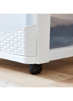 KEVIN 4 Tier Rattan Storage Cabinet  - Image 5