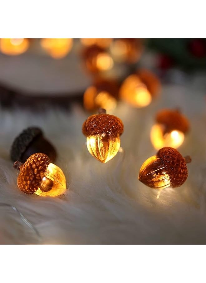 erorex - Decorative Fairy Acorn String Lights Thanksgiving Decoration Autumn Garland Cute Novelty Lights 30 Leds 10 Ft Battery Operated For Bedroom Wedding Birthday Harvest Decor - Image 1